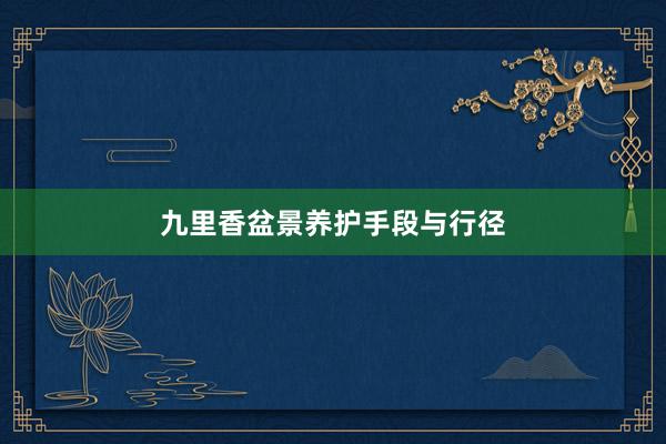 九里香盆景养护手段与行径