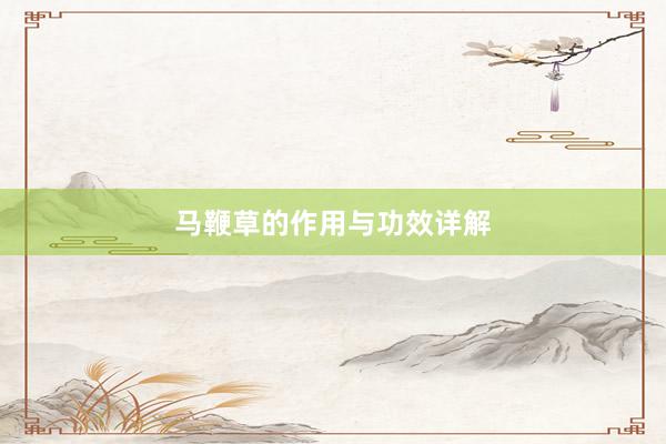 马鞭草的作用与功效详解
