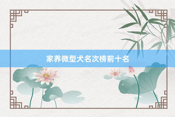 家养微型犬名次榜前十名