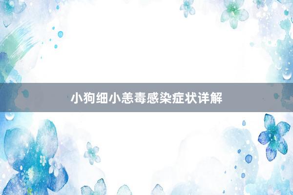小狗细小恙毒感染症状详解
